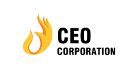 CEO Việt Nam